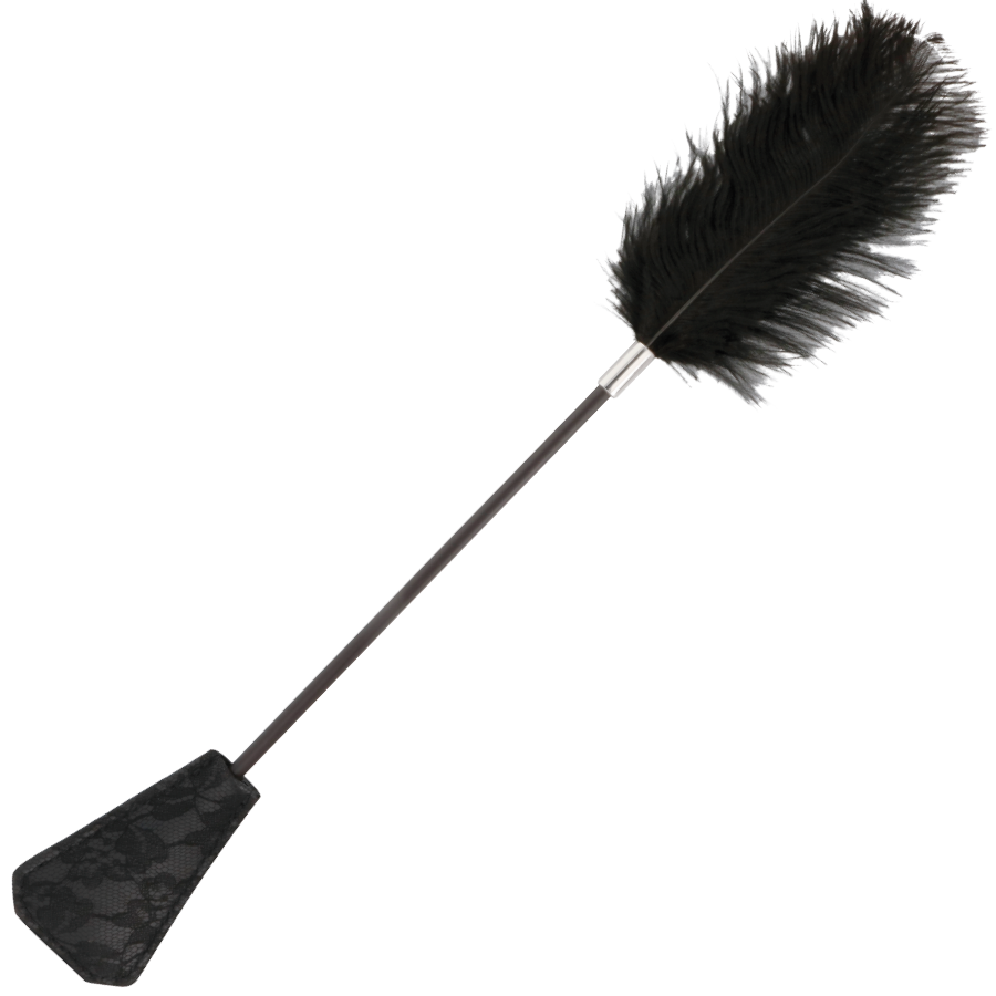 Cravache double face Darkness avec plumes noires d un cote et embout dentelle de l autre sur manche fin, accessoire sensoriel pour jeu de discipline