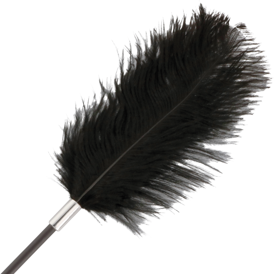Gros plan des longues plumes noires souples de la cravache Darkness, fibres aeriennes pour effleurer la peau et eveiller les sens en couple