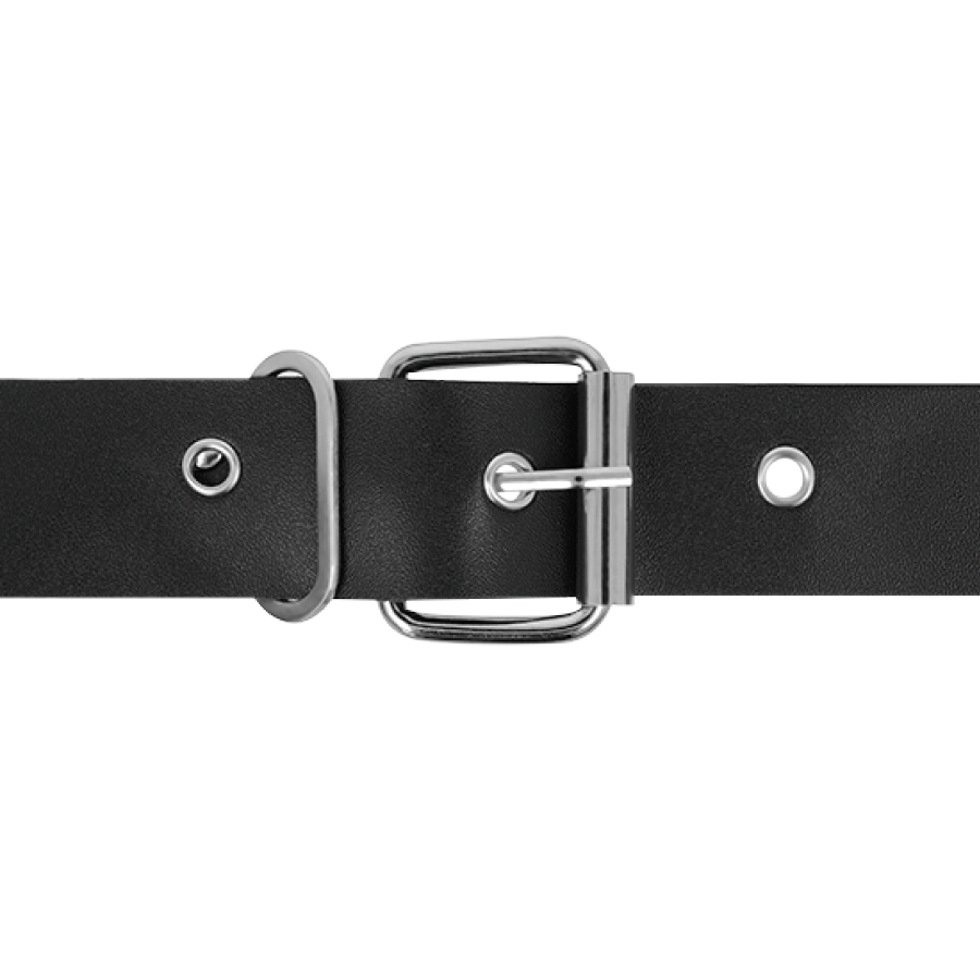Gode ceinture réaliste TPR Harness Attraction — vue de dos