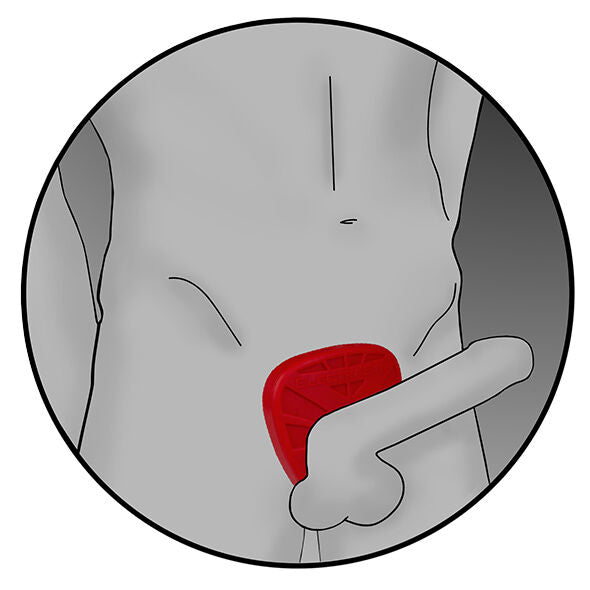 Schema au trait montrant l'anneau penien Viper rouge place a la base d'un sexe masculin dessine, illustration du port du cockring d'electrostimulation sur tige et scrotum